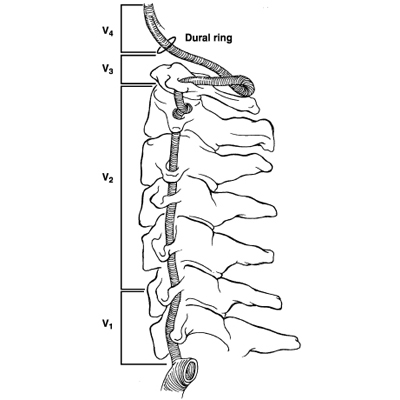 пряма проекція