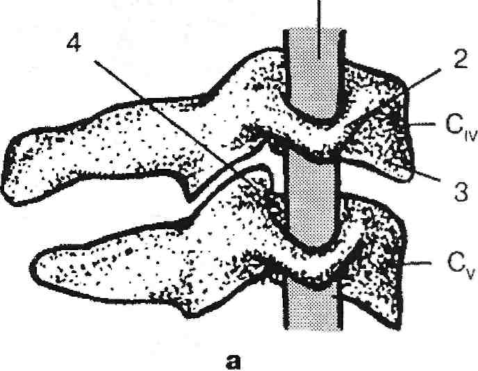 Іноді нас починають лякати ось такими картинками: