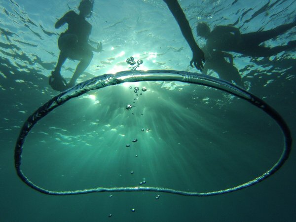 Протягом декількох годин ролик встигло побачити три мільйони чоловік