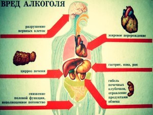 Що відбувається з нами, коли ми п'ємо спиртне