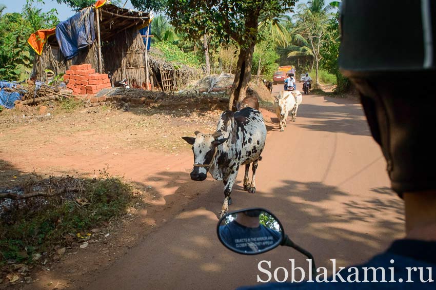 Увечері через неосвітлені доріг лежачих поліцейських не видно взагалі, і якщо їдеш швидше 30 км на годину (для скутера це взагалі черепашача швидкість), то ризикуєш вилетіти в кювет на одному з таких перешкод